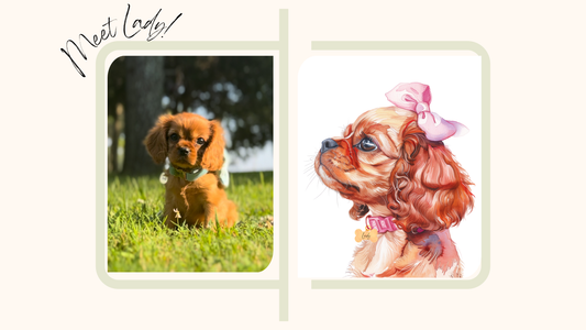 Custom Digital Pet Portrait - Personalized Art on Apparel & Accessories